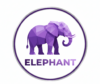 GrapeElephant